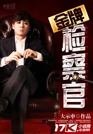 《金牌检察官》小说封面
