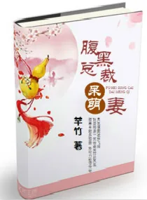 《腹黑总裁呆萌妻》小说封面