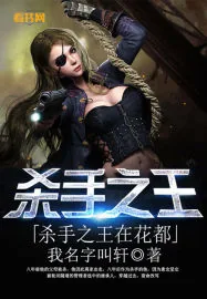 《杀手之王在花都》小说封面