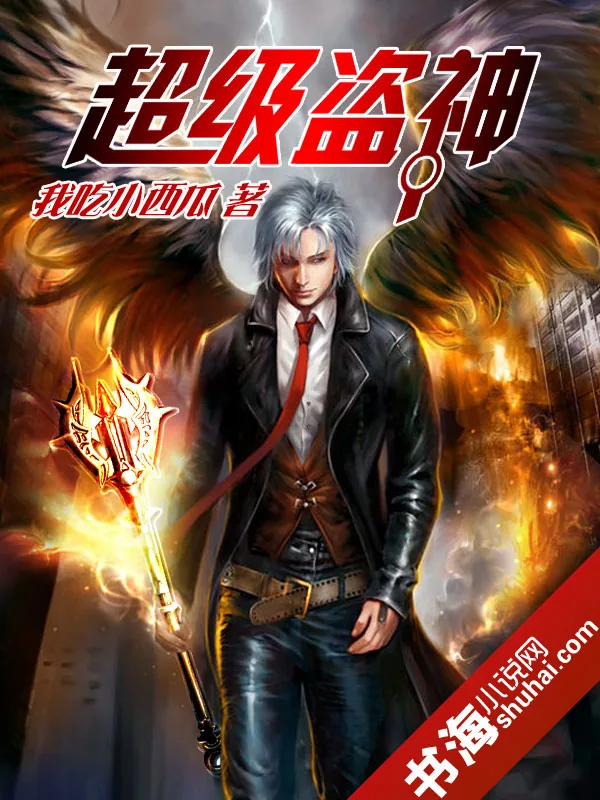 《超级盗神》小说封面