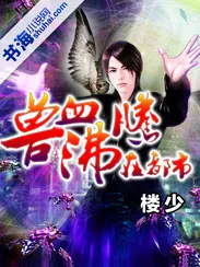 《兽血沸腾在都市》小说封面