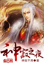 《神寂之夜》小说封面