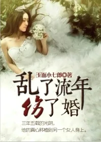 《乱了流年伤了婚》小说封面