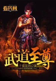 《武道至尊》小说封面
