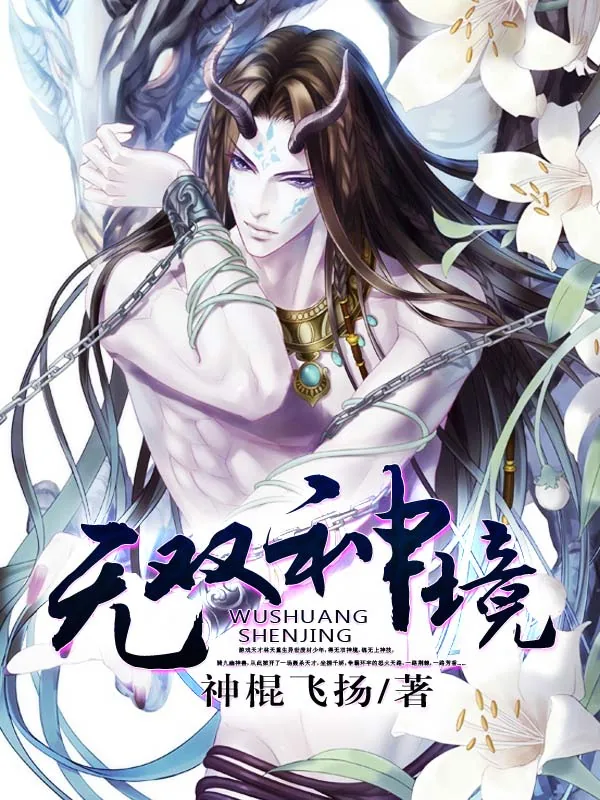 《无双神境》小说封面