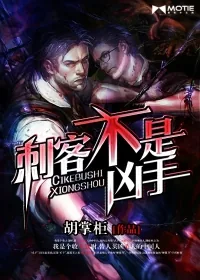 《刺客不是凶手》小说封面