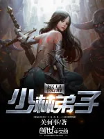 《极品少林弟子》小说封面