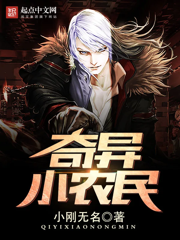 《奇异小农民》小说封面