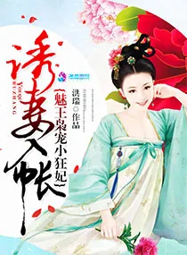《引妻入帐:魅王枭宠小狂妃》小说封面