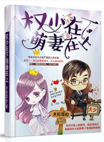 《权少在下萌妻在上》小说封面