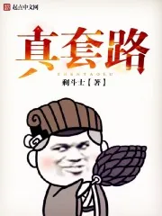 《真套路》小说封面