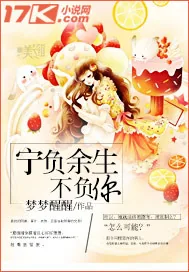 《宁负余生不负你》小说封面