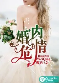 《婚内危情》小说封面