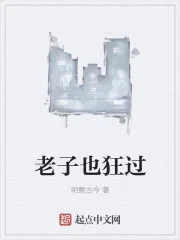 《老子也狂过》小说封面
