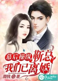 《幕后操纵：靳总，我们已离婚》小说封面