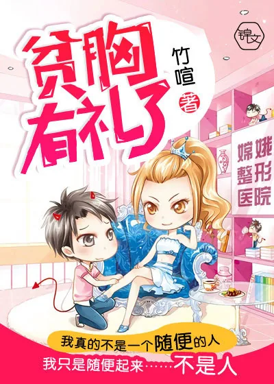 《贫胸有礼了》小说封面