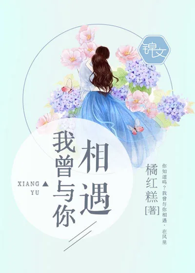 《我曾与你相遇》小说封面