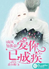 《南风知我意，爱你已成疾》小说封面