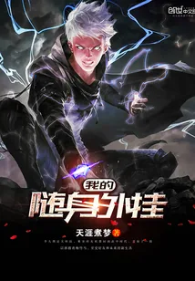 《我的随身外挂》小说封面