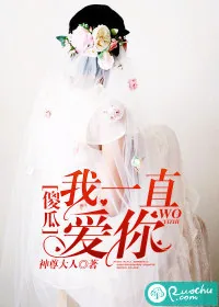 《傻瓜，我一直爱你》小说封面