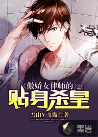 《傲娇女律师的贴身杀皇》小说封面