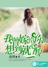 《我曾嫁给你,想到就心酸》小说封面