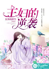 《主妇的逆袭》小说封面