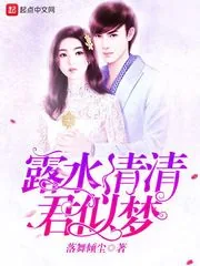 《露水清清君似梦》小说封面