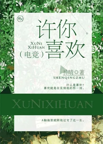《许你喜欢(电竞)》小说封面