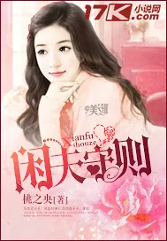 《闲夫守则》小说封面