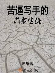 《苦难写手的六零生涯》小说封面