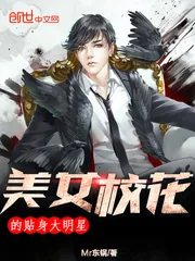 《美女校花的贴身大明星》小说封面