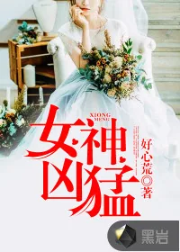 《女神凶猛》小说封面