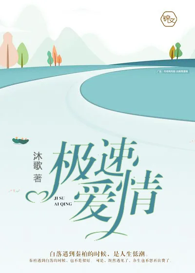 《极速爱情》小说封面