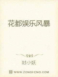 《花都娱乐风暴》小说封面