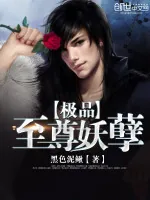 《极品至尊妖孽》小说封面