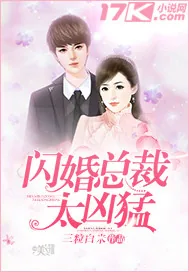 《闪婚总裁太凶猛》小说封面