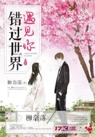 《错过世界遇见你》小说封面