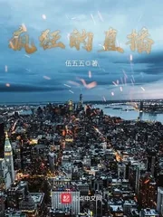 《疯狂的直播》小说封面