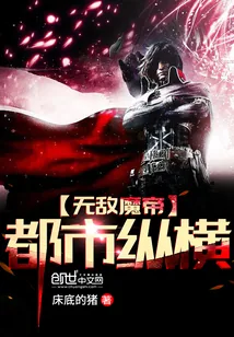《无敌魔帝都市纵横》小说封面