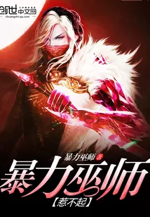 《暴力巫师惹不起》小说封面
