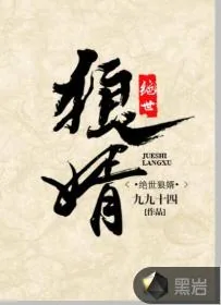 《绝世狼婿》小说封面