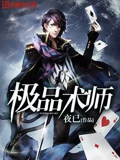 《极品术师》小说封面