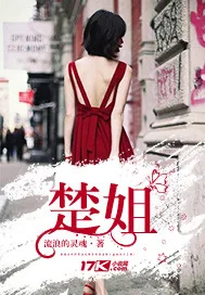 《楚姐》小说封面