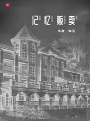 《记忆贩卖》小说封面
