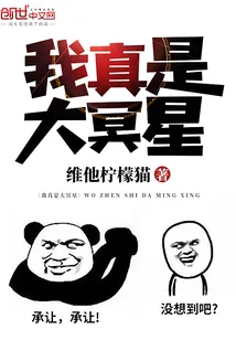 《我真是大冥星》小说封面