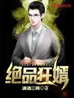 《绝品狂婿》小说封面