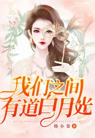 《我们之间有道白月光》小说封面