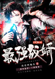 《最强战婿》小说封面