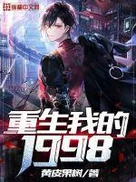 《重生我的1998》小说封面